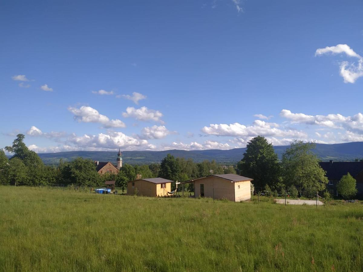 Domek W Gorach Izerskich 4 I 6 Osobowy, Agroturystyka, Zywe Zwierzeta, W Pelni Wyposazone, Plac Zabaw Dla Dzieci, Ognisko Z Kijkami I Rusztem, Ogrzewanie I Klimatyzacja, Latem Basen Mirsk Kültér fotó