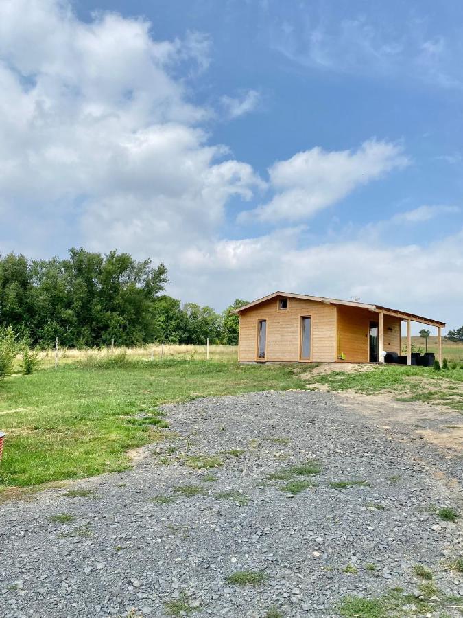 Domek W Gorach Izerskich 4 I 6 Osobowy, Agroturystyka, Zywe Zwierzeta, W Pelni Wyposazone, Plac Zabaw Dla Dzieci, Ognisko Z Kijkami I Rusztem, Ogrzewanie I Klimatyzacja, Latem Basen Mirsk Kültér fotó