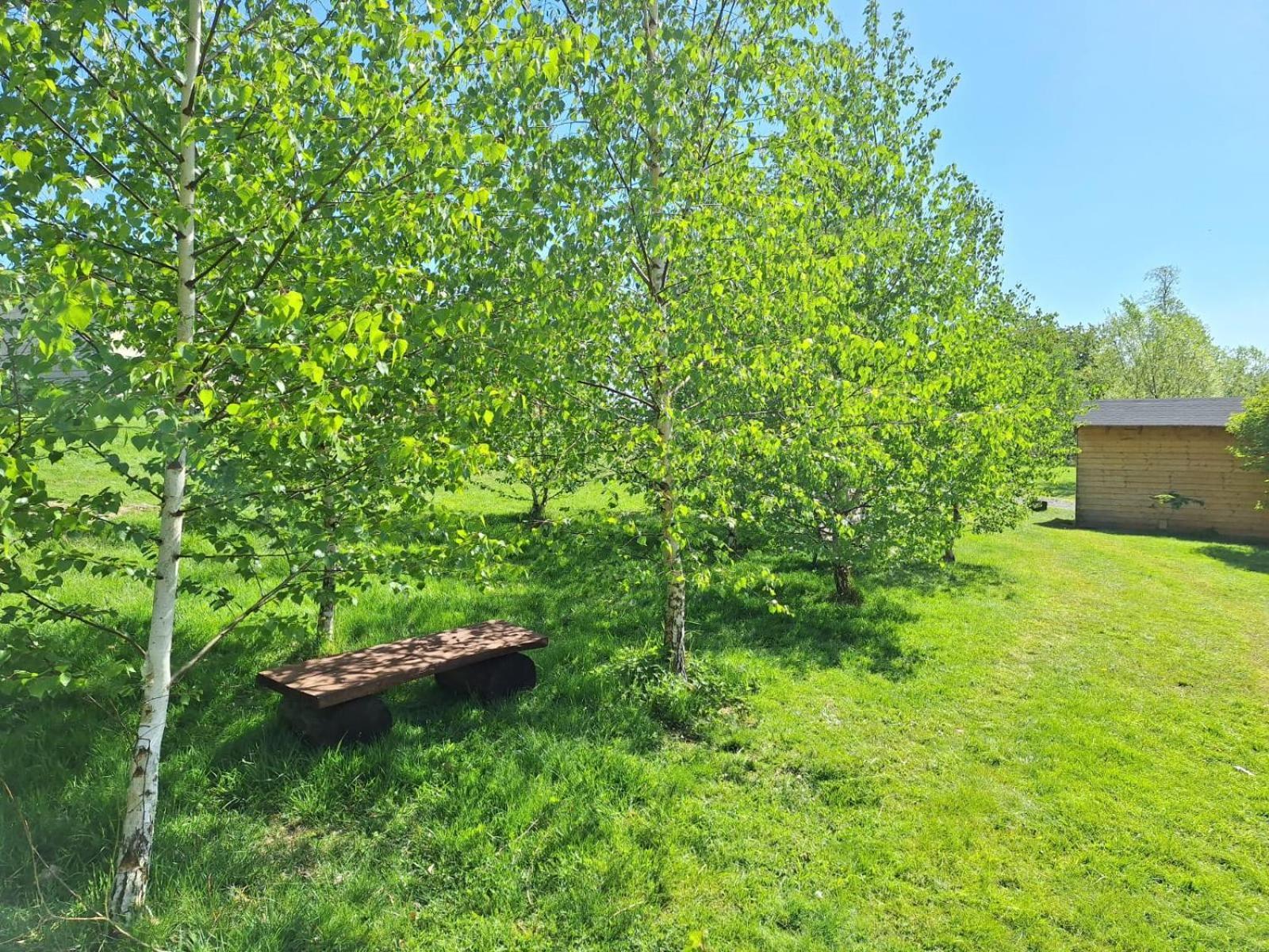Domek W Gorach Izerskich 4 I 6 Osobowy, Agroturystyka, Zywe Zwierzeta, W Pelni Wyposazone, Plac Zabaw Dla Dzieci, Ognisko Z Kijkami I Rusztem, Ogrzewanie I Klimatyzacja, Latem Basen Mirsk Kültér fotó